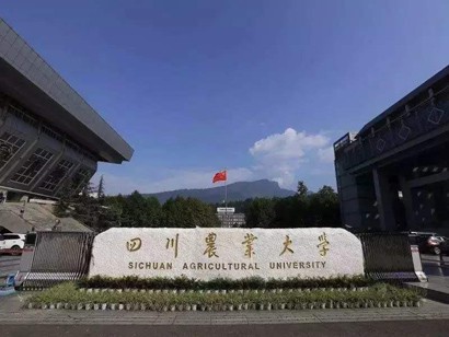 四川农业大学2026年高等学历继续教育（成人高考）招生简章