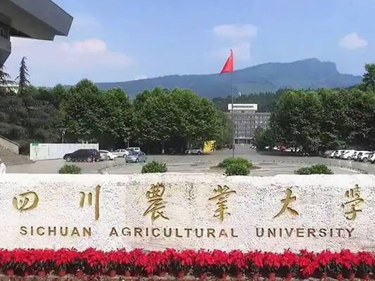 四川农业大学