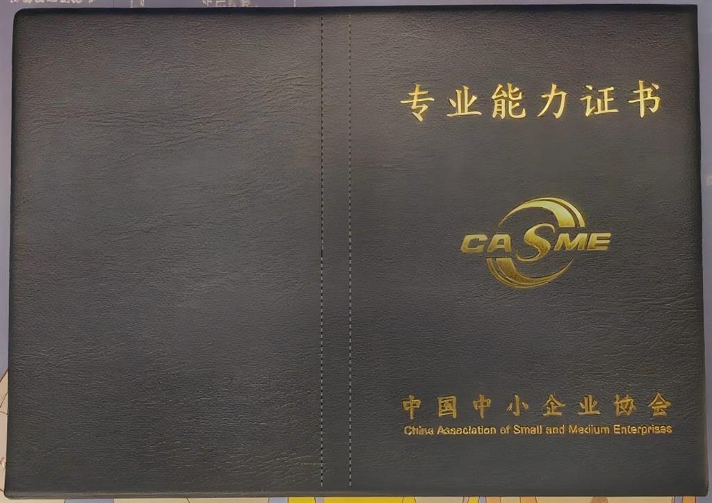 专业能力证书样本 专业能力证书样本